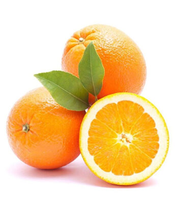 Concentrados Perla ZiTRON